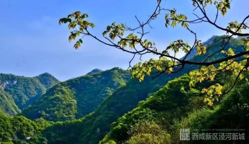 微信图片_20211011143353