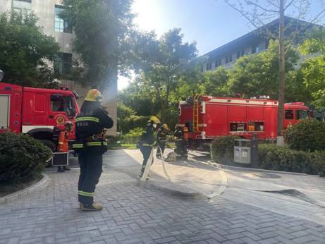 20b9da407d46a0fe1ee0b48a00c4028