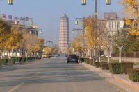 泾河新城崇文塔东路实施“落叶缓扫”，打造了一条网红打卡路