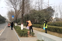 泾河新城开展辖区绿化带环境卫生整治行动