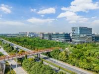 全面“北跨”，泾河新城迎来高光时刻