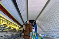 泾河新城：老企业，发了新枝！