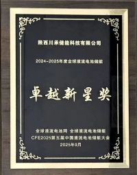 泾河新城入区企业荣获2024-2025年度全球液流电池储能卓越新星奖