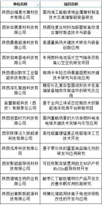 泾河新城13家入区企业的牵头项目成功申报2025年陕西省重点研发计划—秦创原总窗口“四链”融合项目